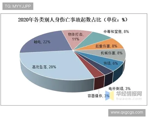 上海极限运动队的灵活性探讨与发展现状分析